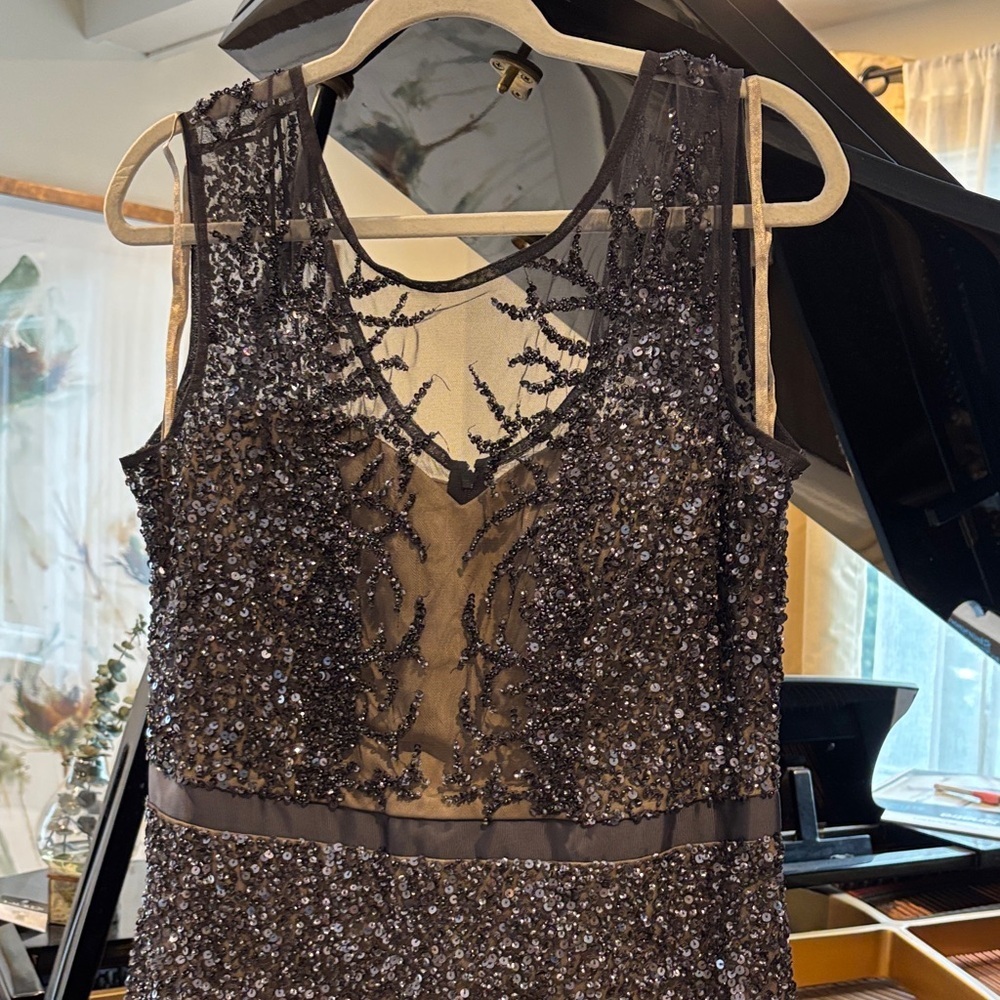 Adrianna Papell gunmetal  and Tan Embellished Maxi Dress - Picture 3 of 9